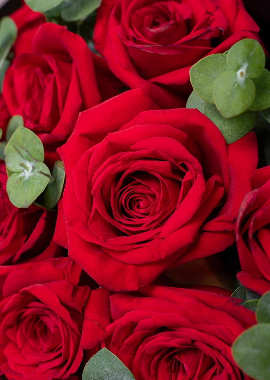 12 Rosas Rojas con Aretes Gota Cristal