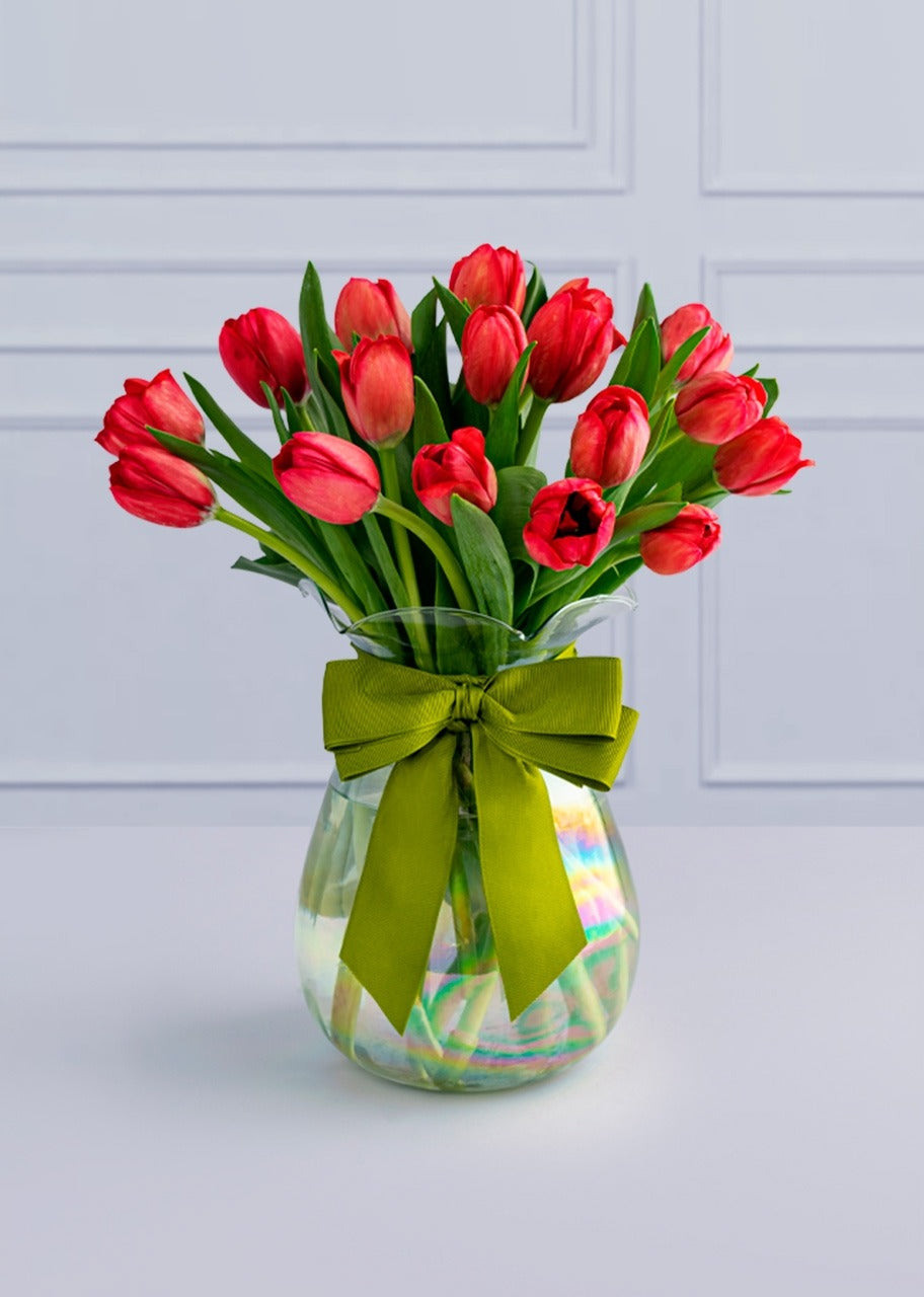15 Tulipanes Rojos y Oso de Peluche