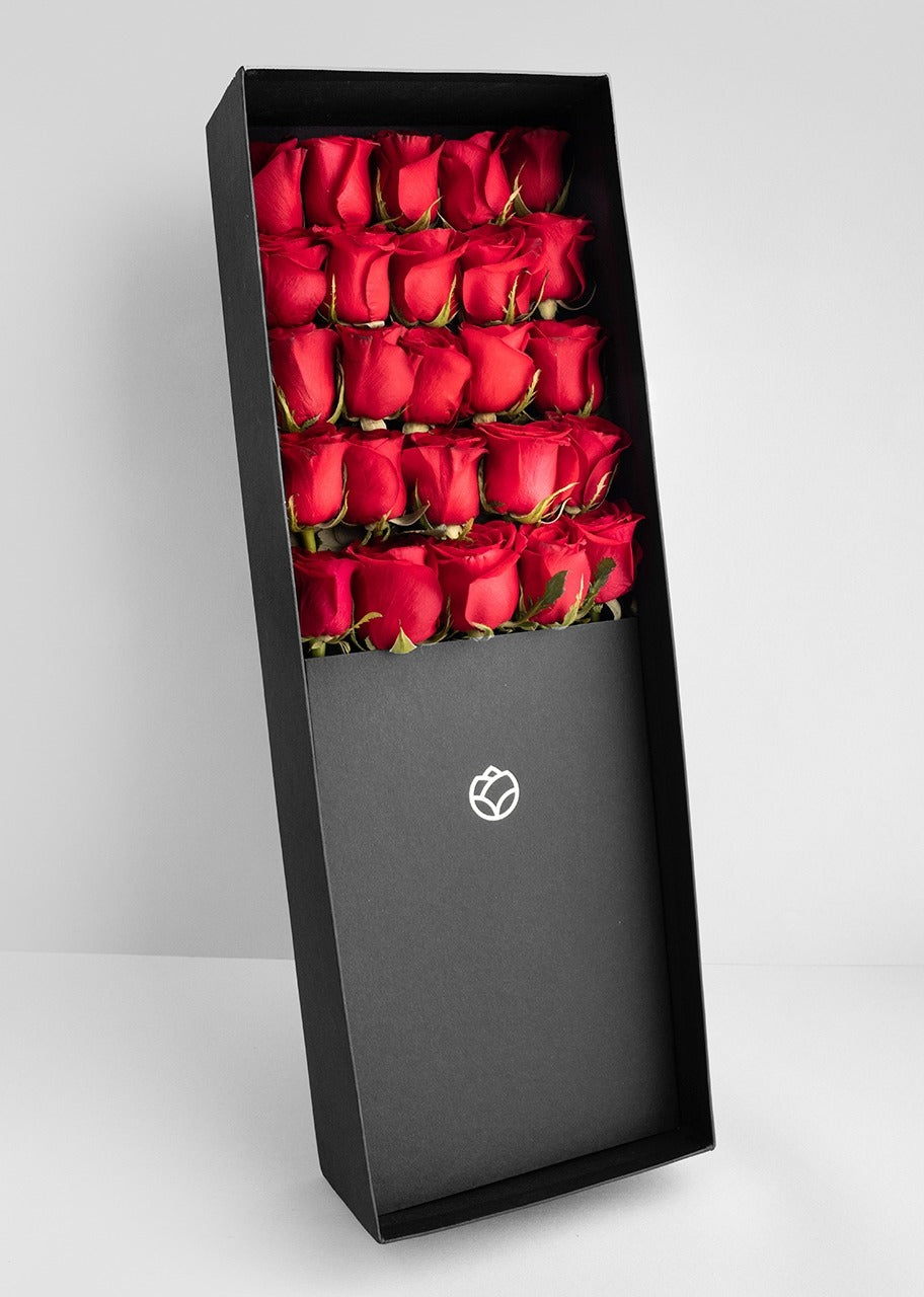 25 Rosas rojas en caja