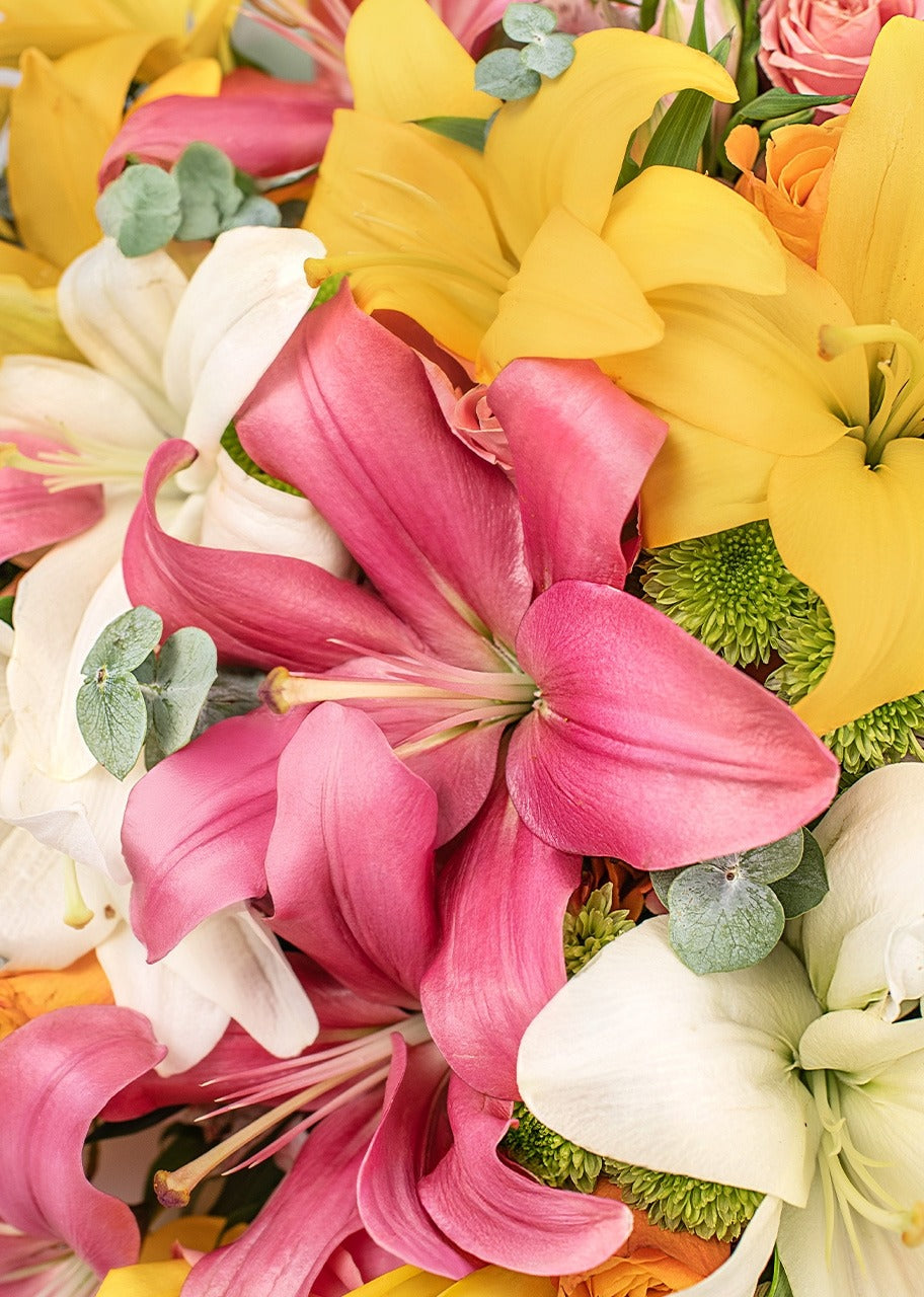 Euforia Floral en Ramo con Combinación de Lilys