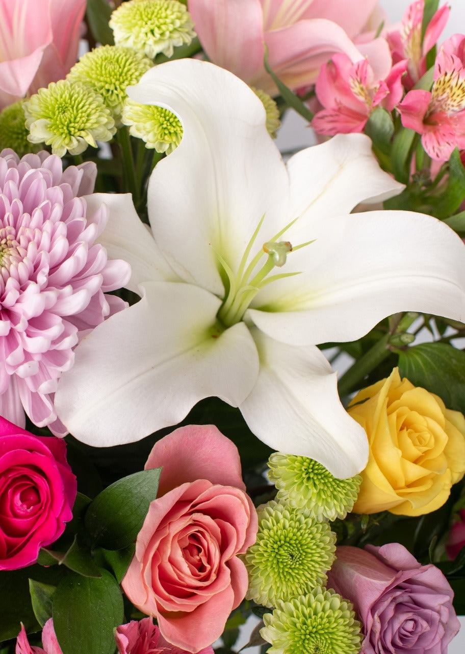 Jardín de Alegría con Lilys y Rosas