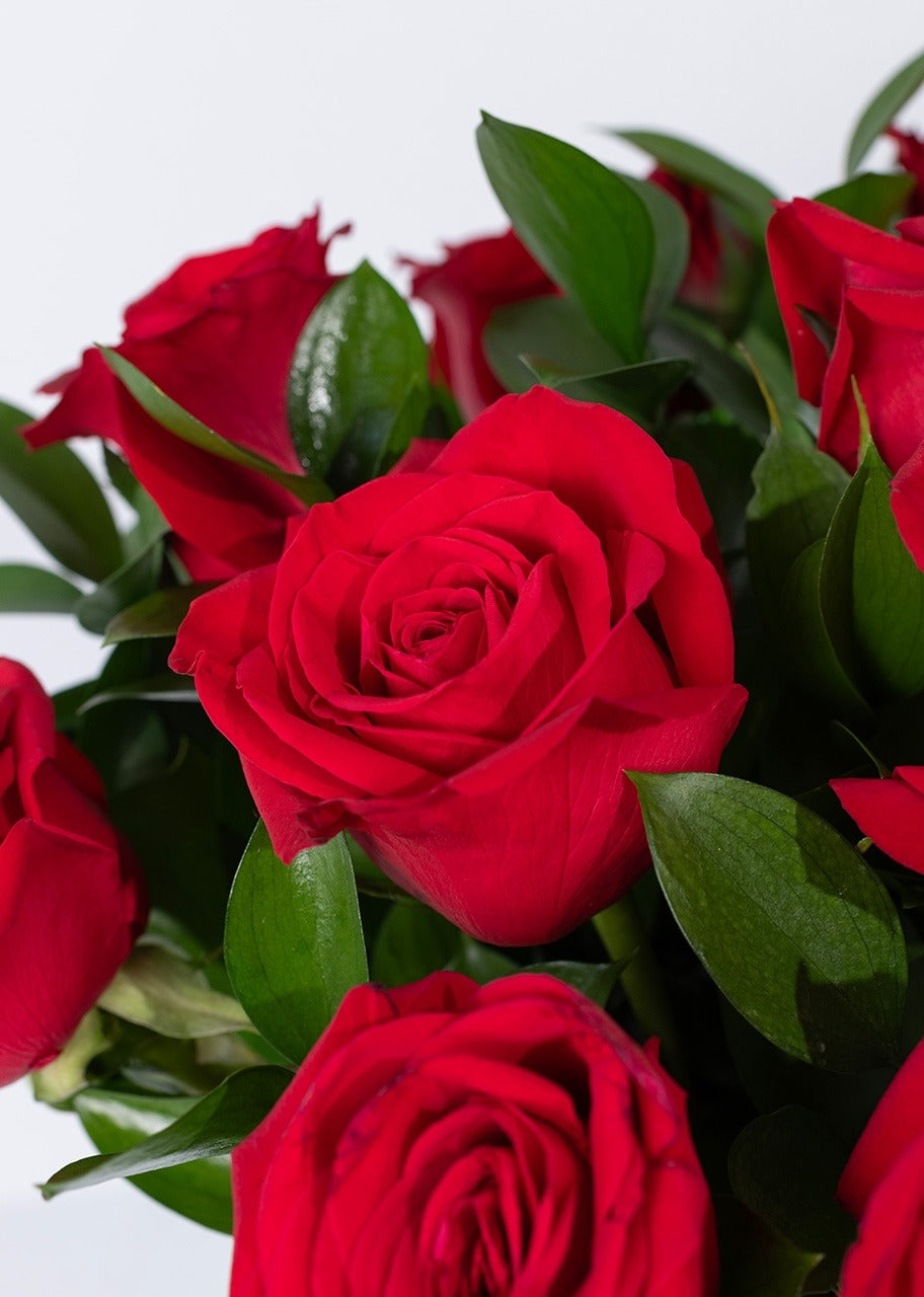 Personaliza Marco Amor con 12 Rosas Rojas